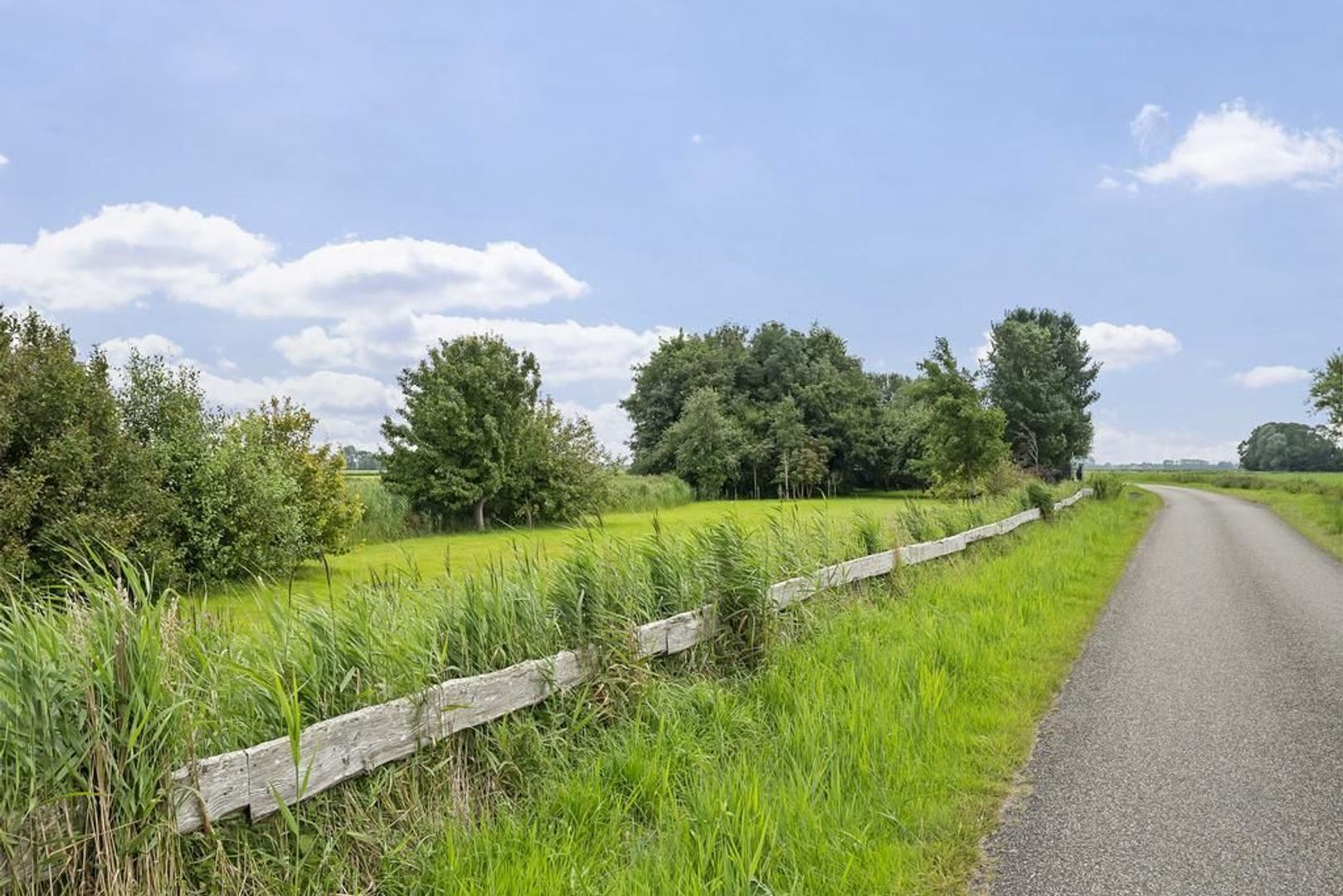 Miedwei 2, Holwert foto-33