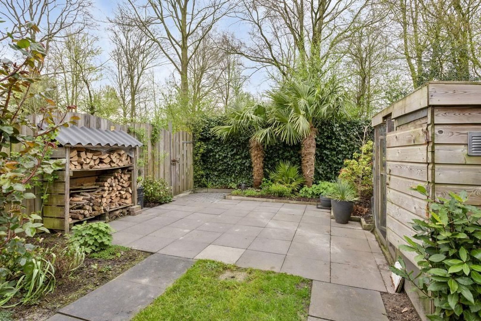 De Zwaan 86, Dokkum foto-24