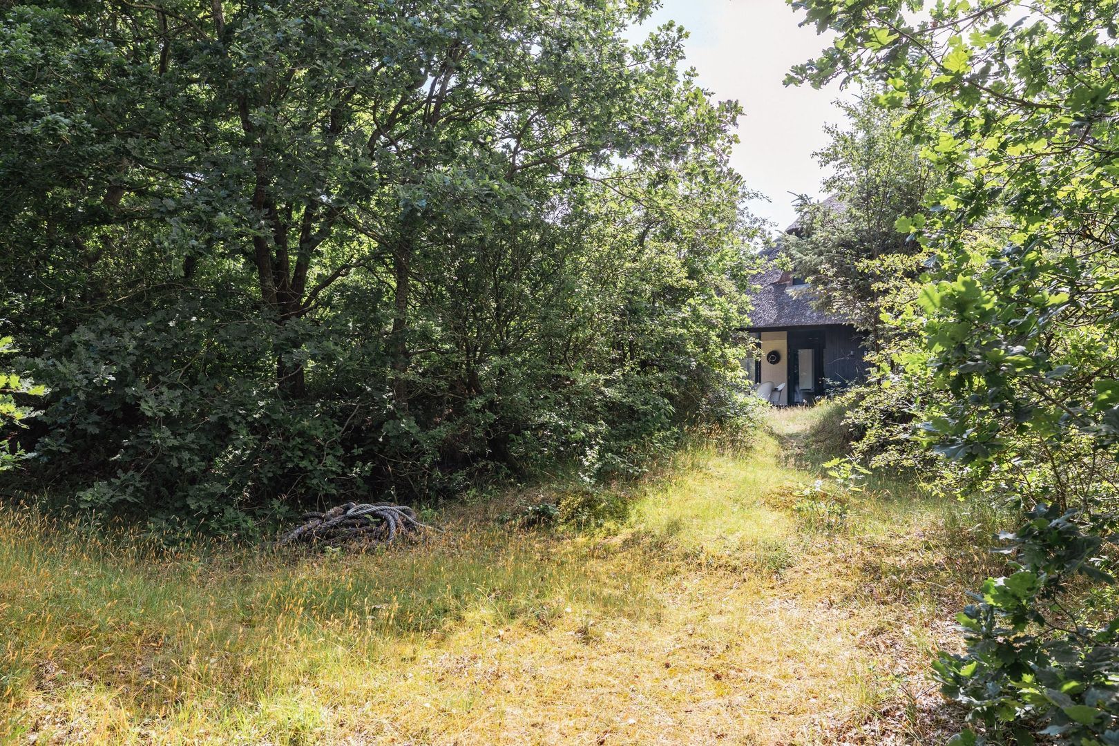 Badweg 16, Schiermonnikoog foto-34