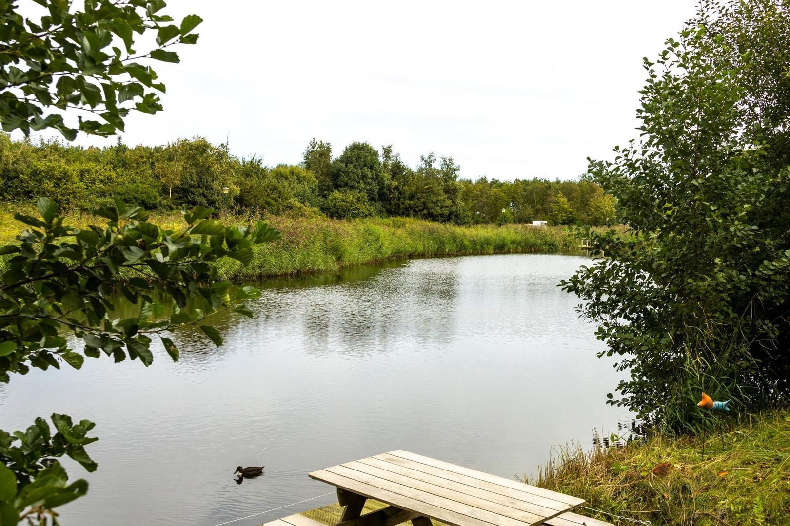 De Rug 3 273, Lauwersoog foto-2