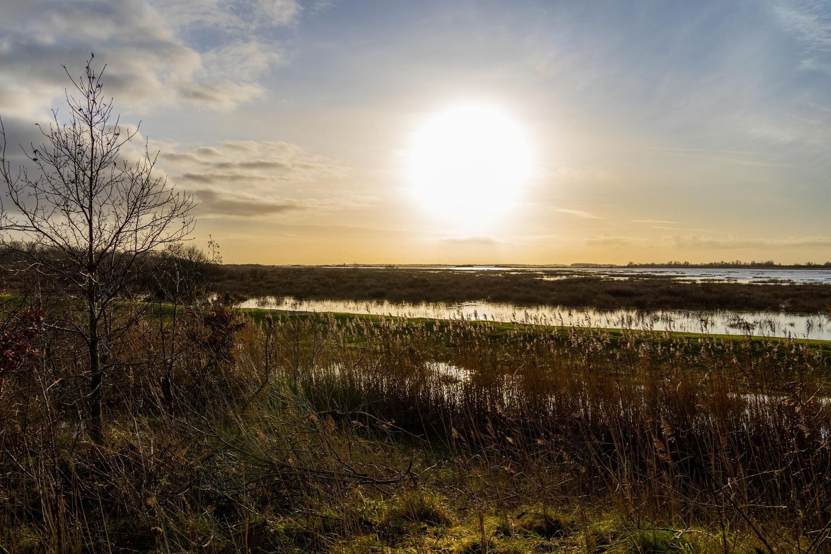 De Rug 3 273, Lauwersoog foto-36