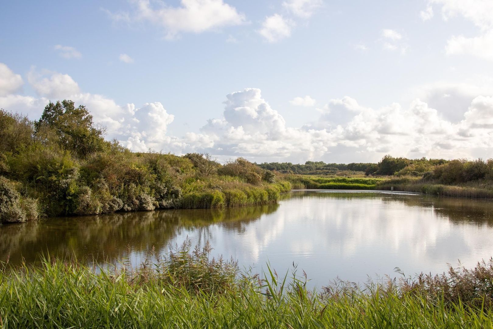 De Rug 3 273, Lauwersoog foto-34