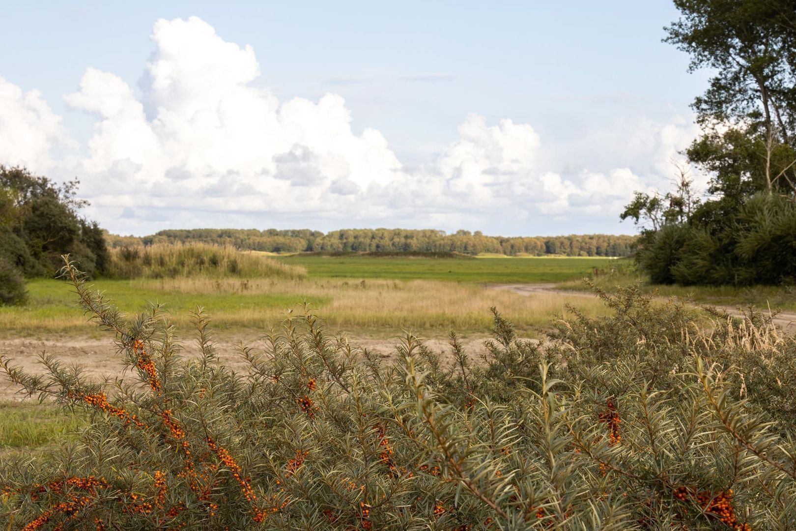 De Rug 3 273, Lauwersoog foto-35