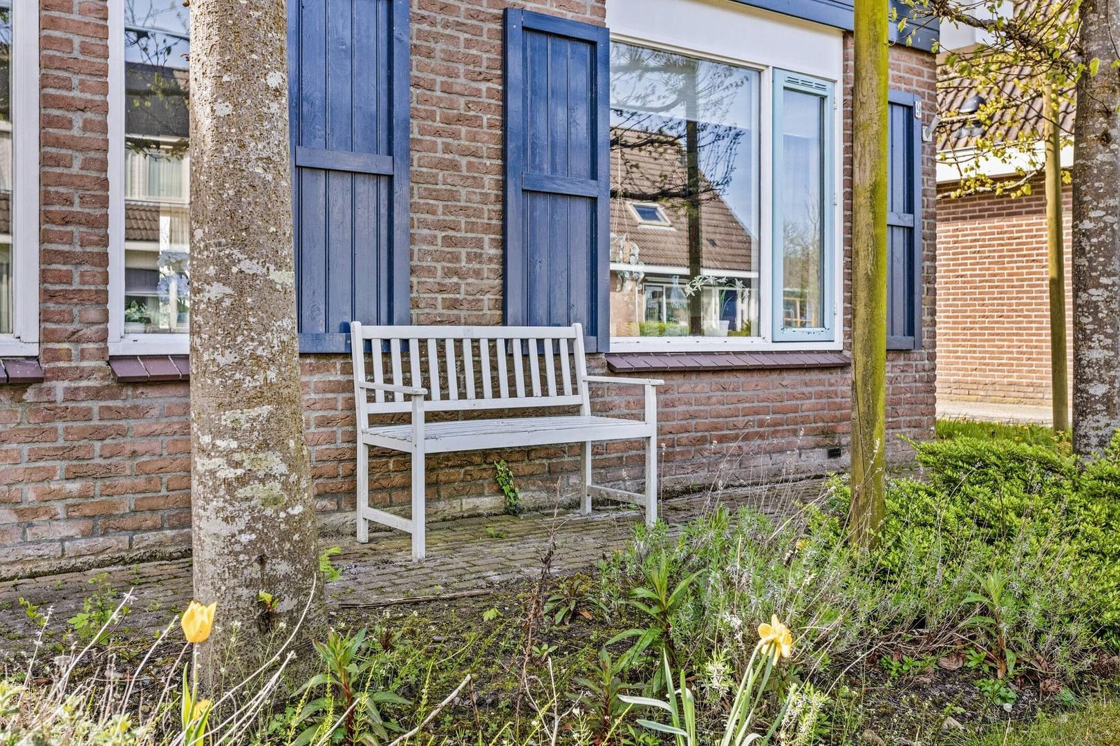 De Donger 9, Peazens foto-6