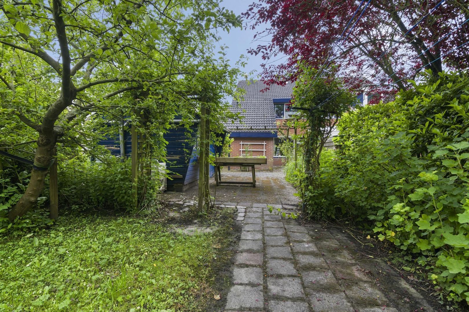 De Schans 51, Dokkum foto-1