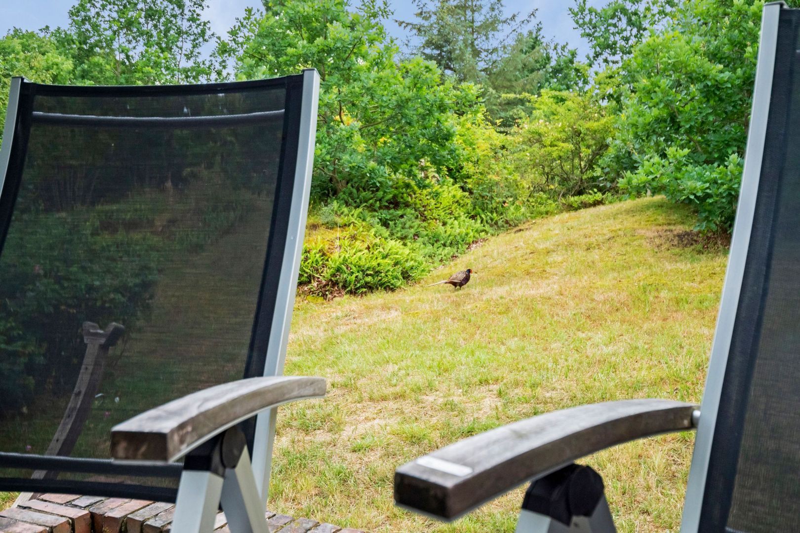 Louwvlakte 6, Schiermonnikoog foto-27