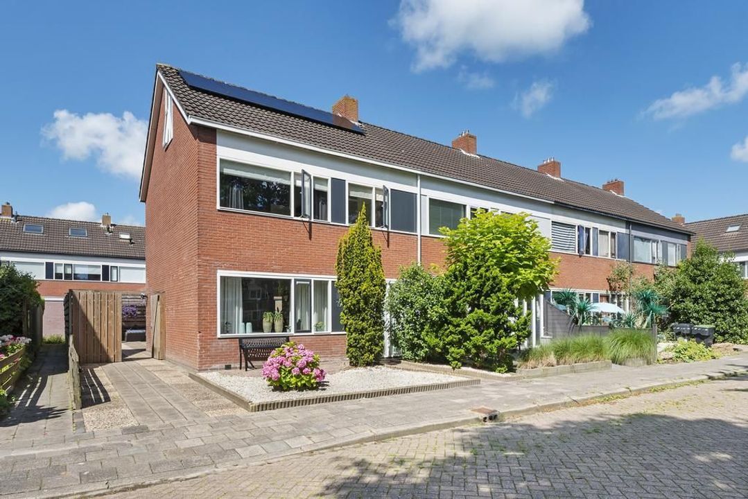Stern 19, Dokkum