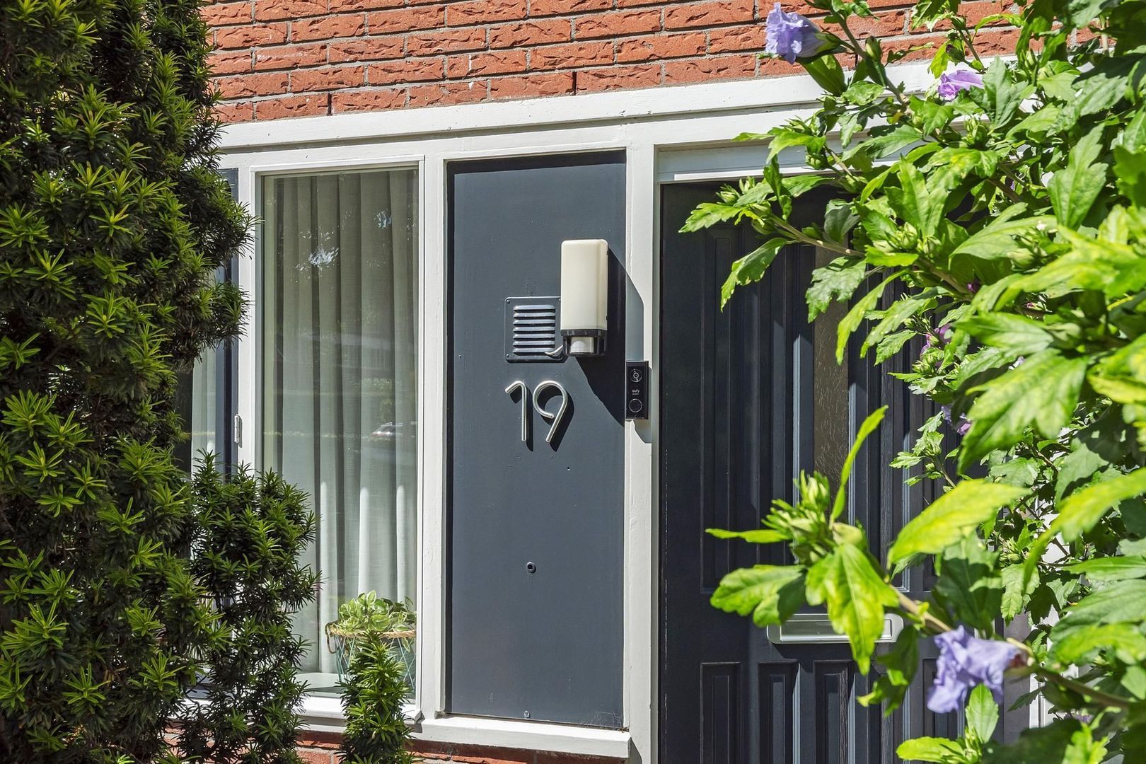 Stern 19, Dokkum foto-4