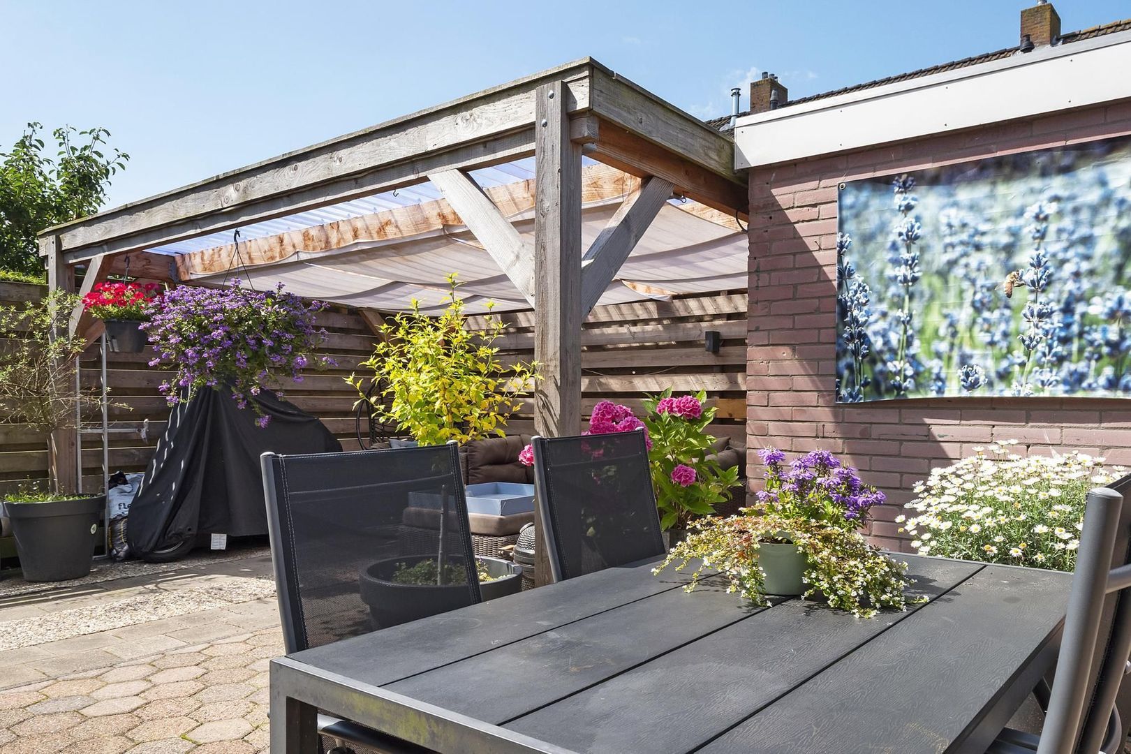 Stern 19, Dokkum foto-21