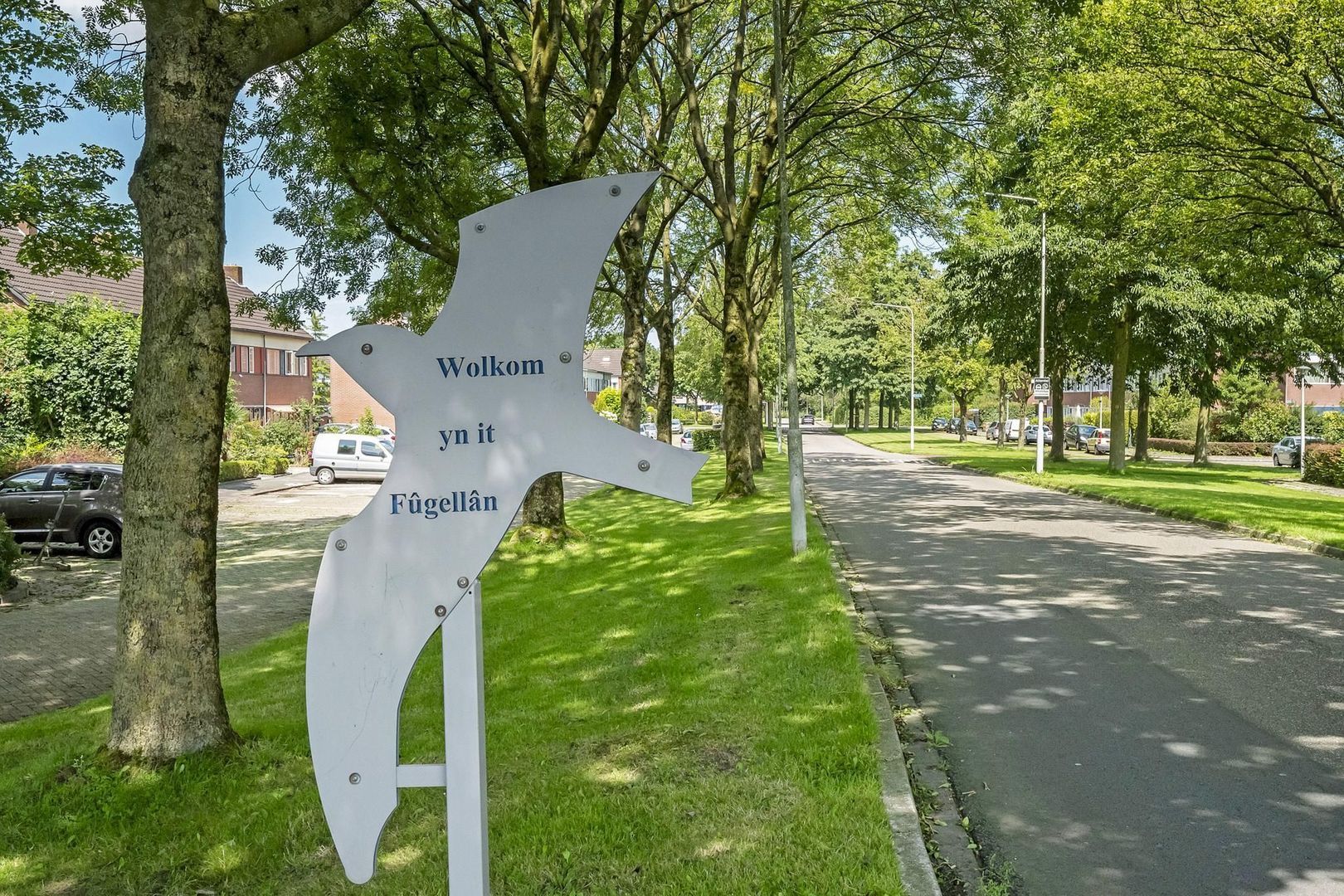 Stern 19, Dokkum foto-25