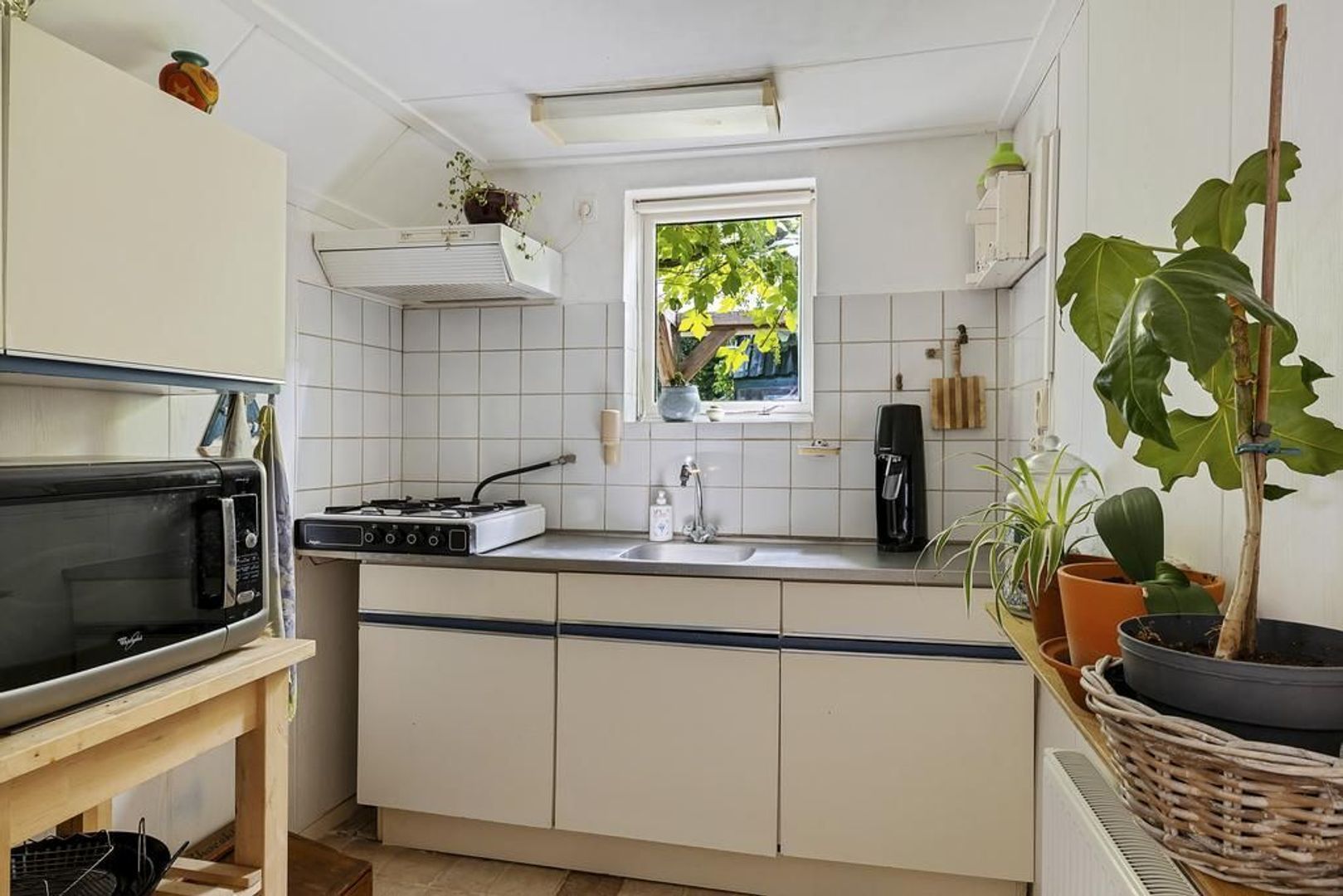 Wyldpaed 11, Kollumersweach foto-24