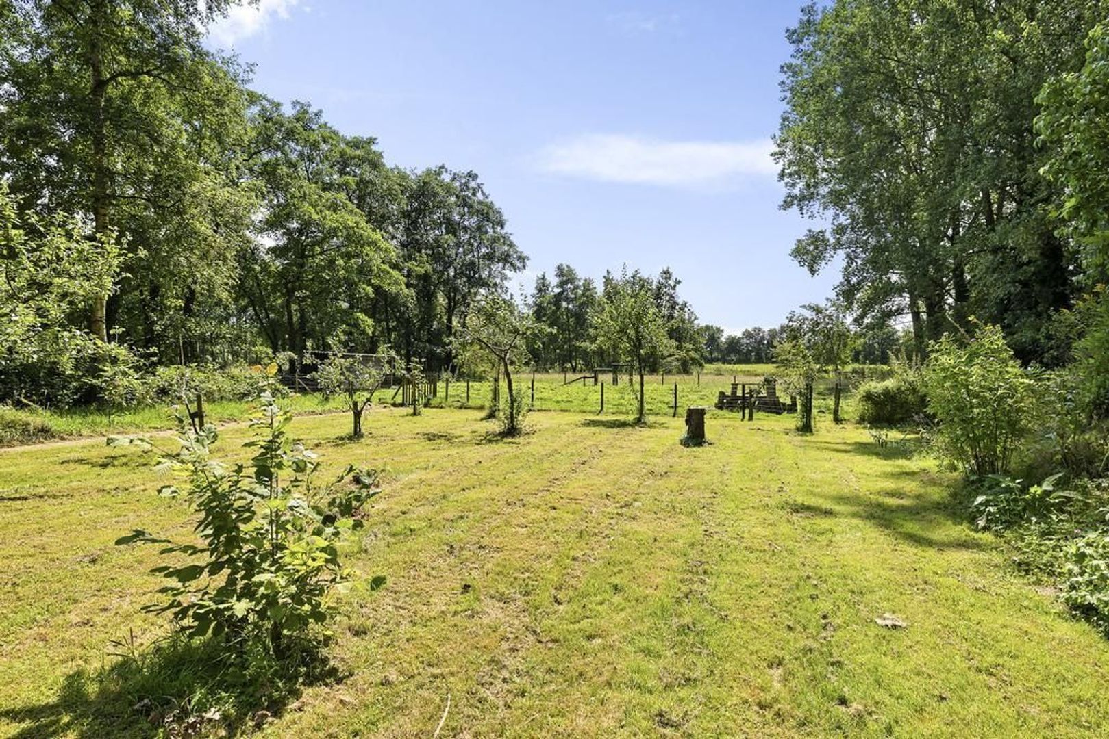 Wyldpaed 11, Kollumersweach foto-41