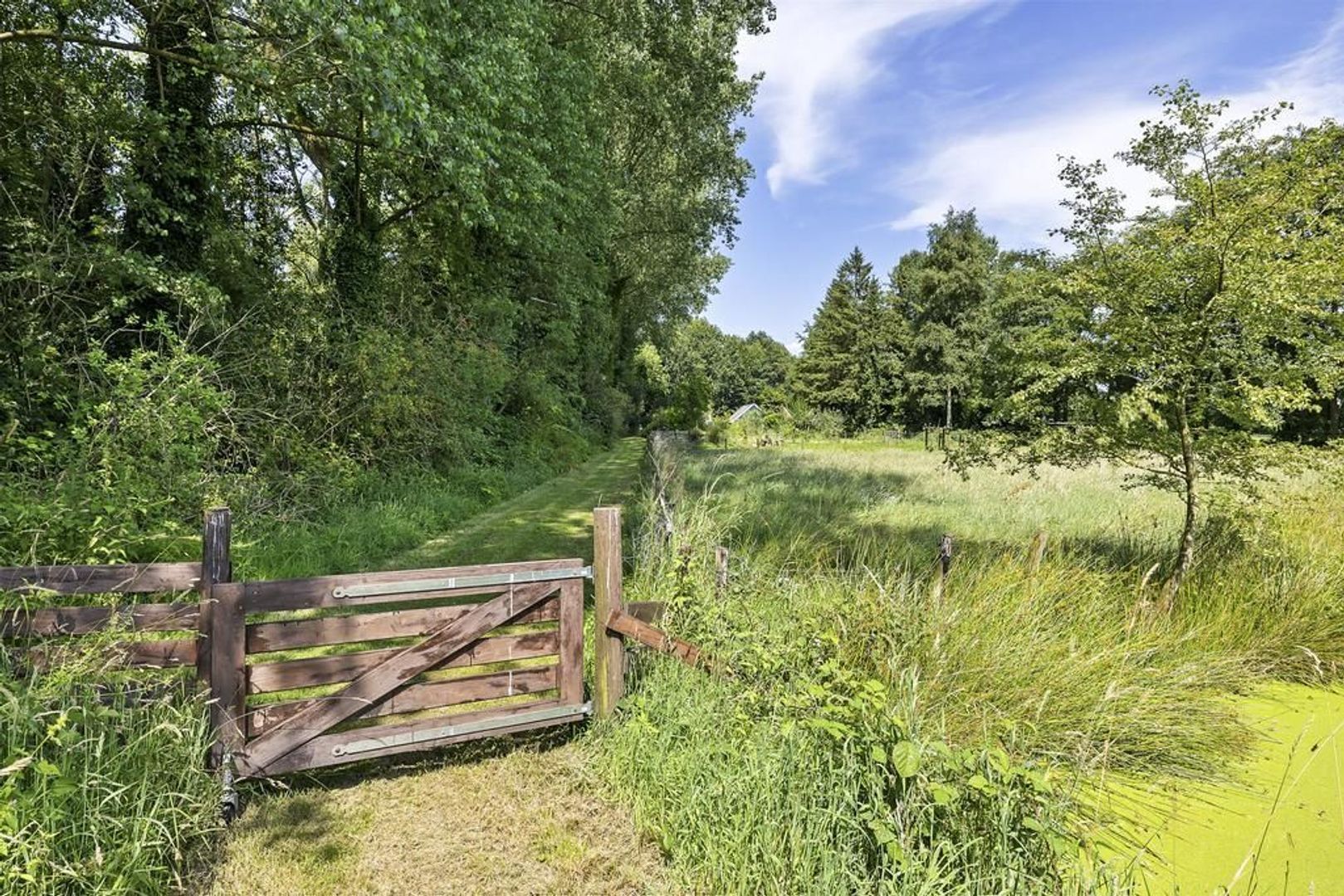 Wyldpaed 11, Kollumersweach foto-42