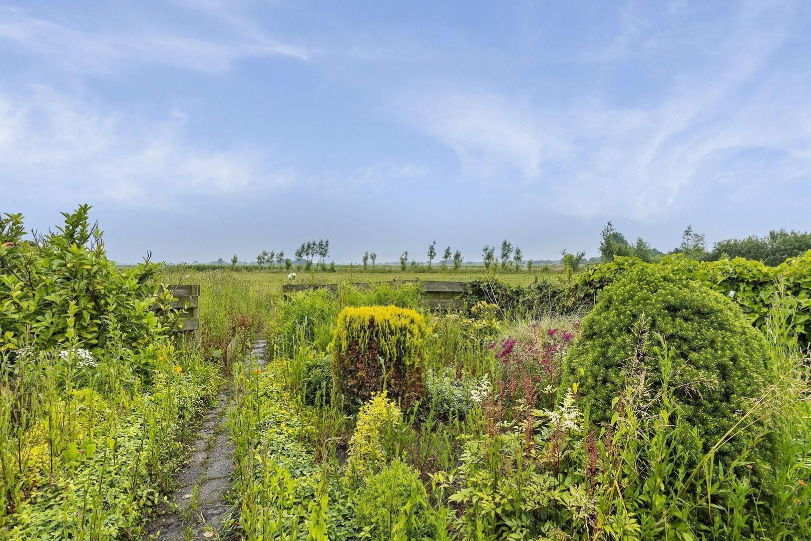 De Singel 15, Nijewier foto-4