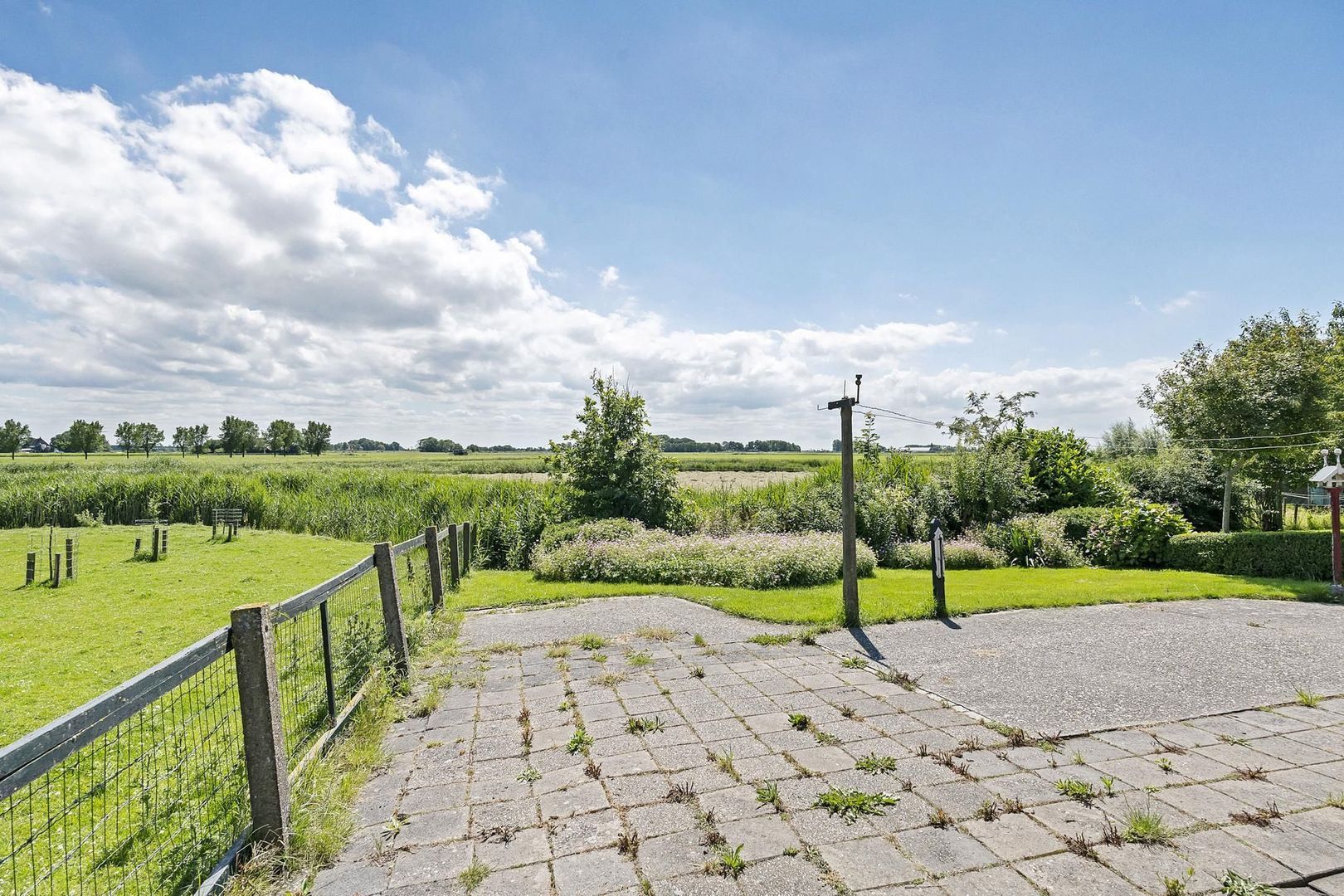 Lineleane 3, Raard foto-1