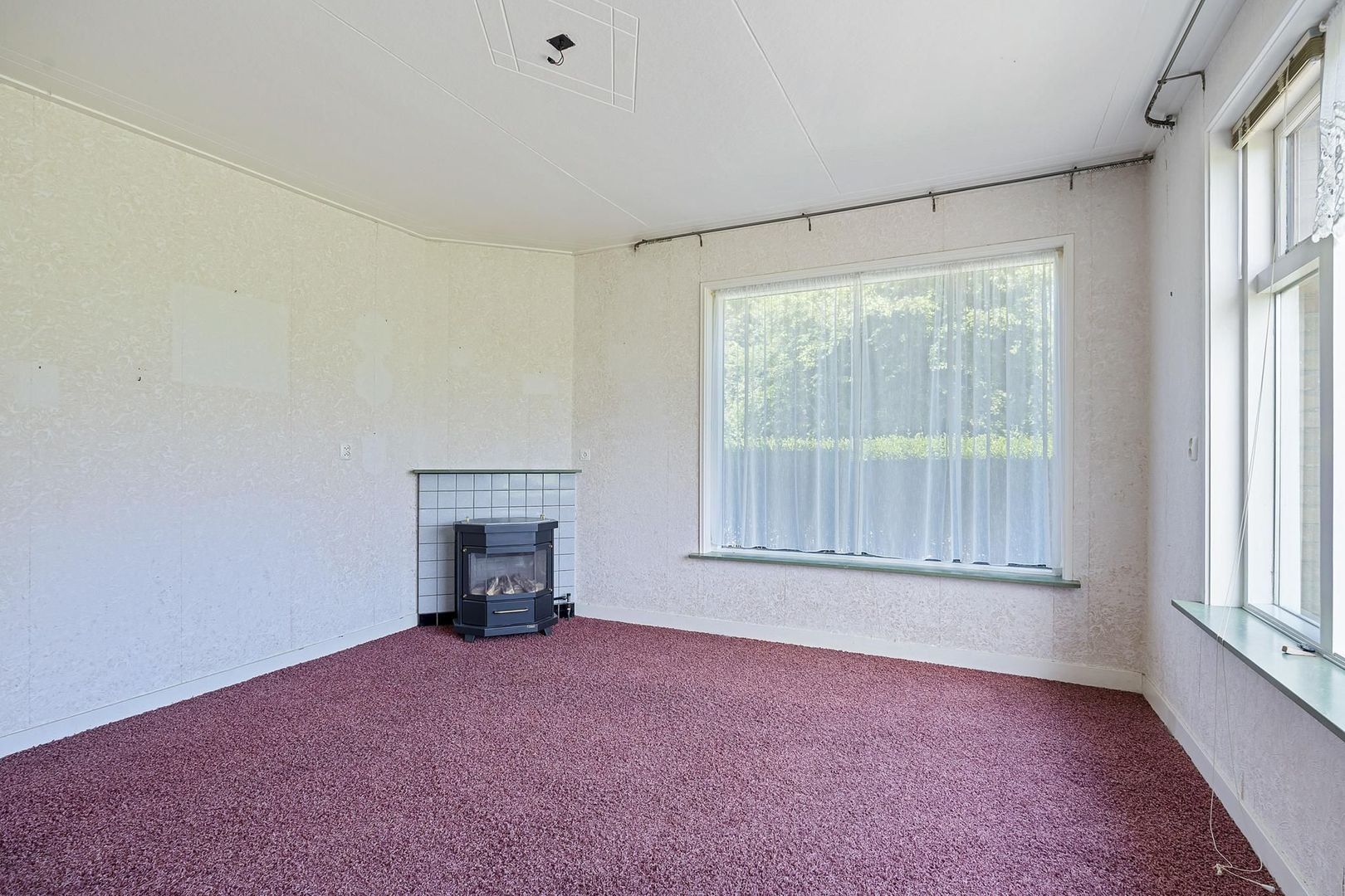 Lineleane 3, Raard foto-6