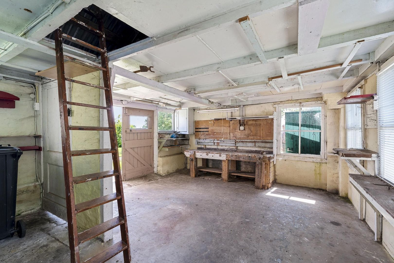 Lineleane 3, Raard foto-29