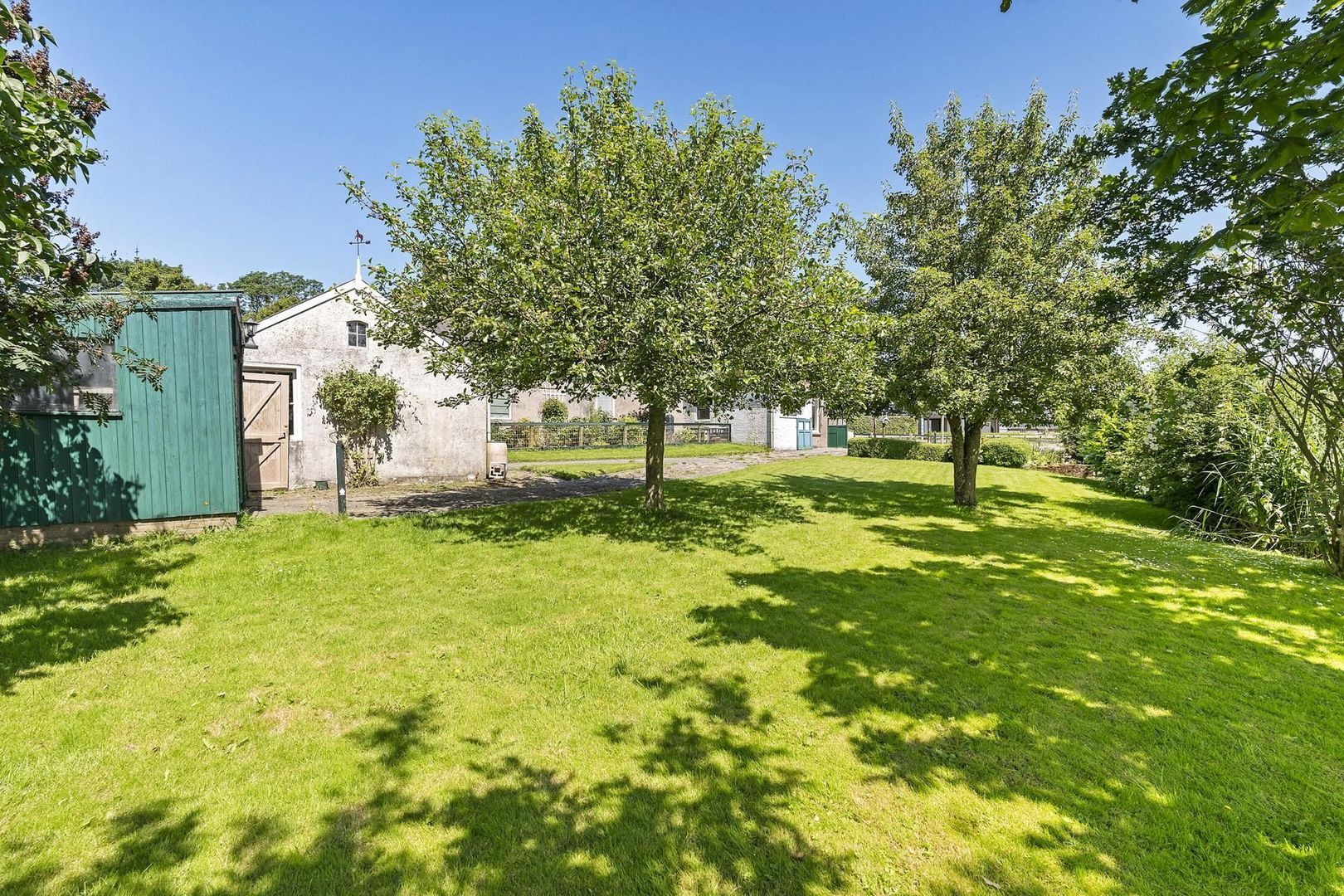 Lineleane 3, Raard foto-30