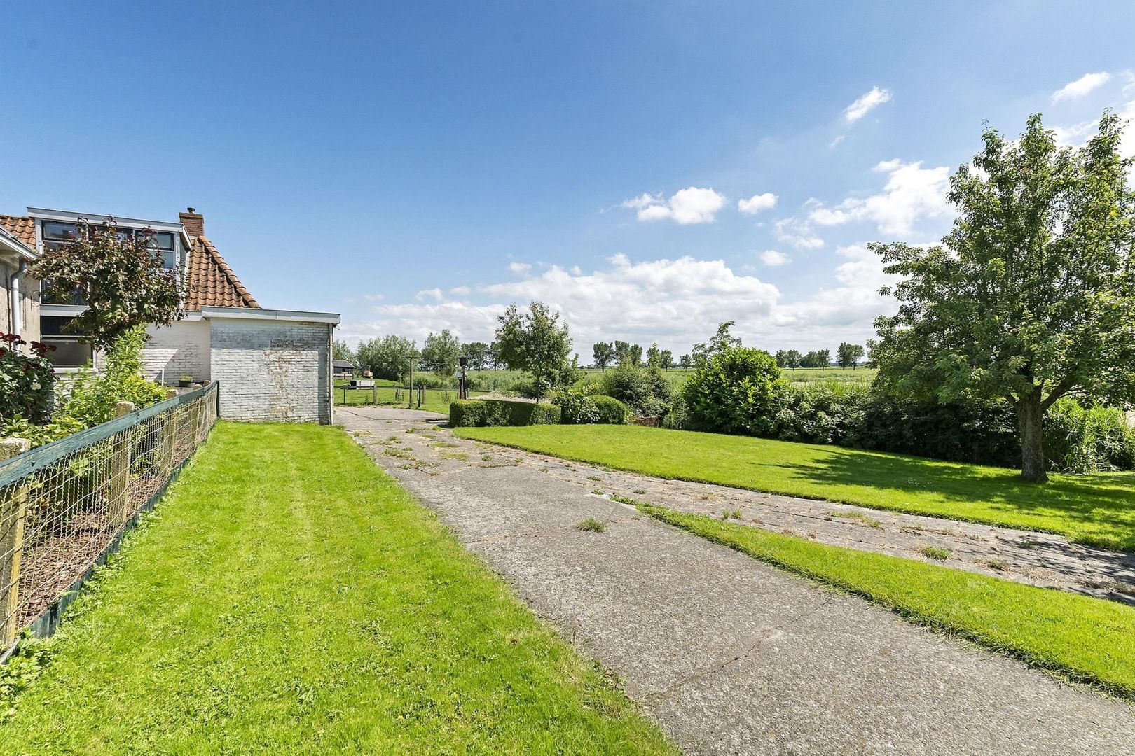 Lineleane 3, Raard foto-31