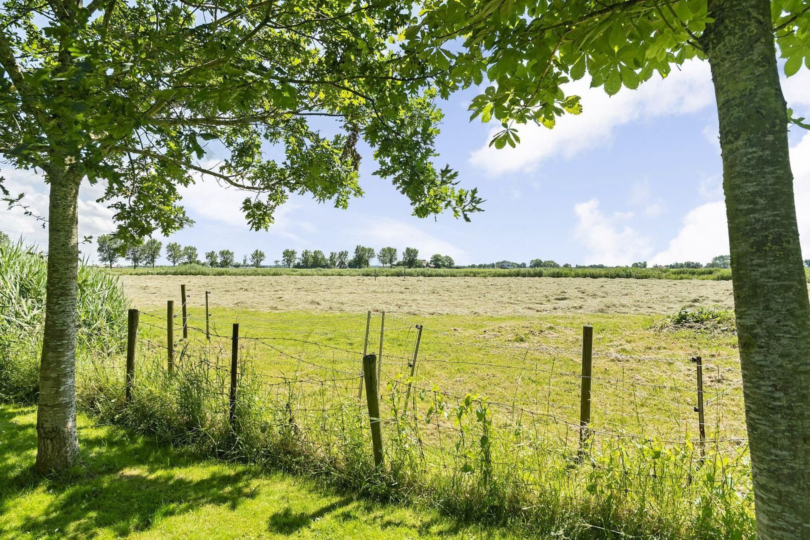 Lineleane 3, Raard foto-32