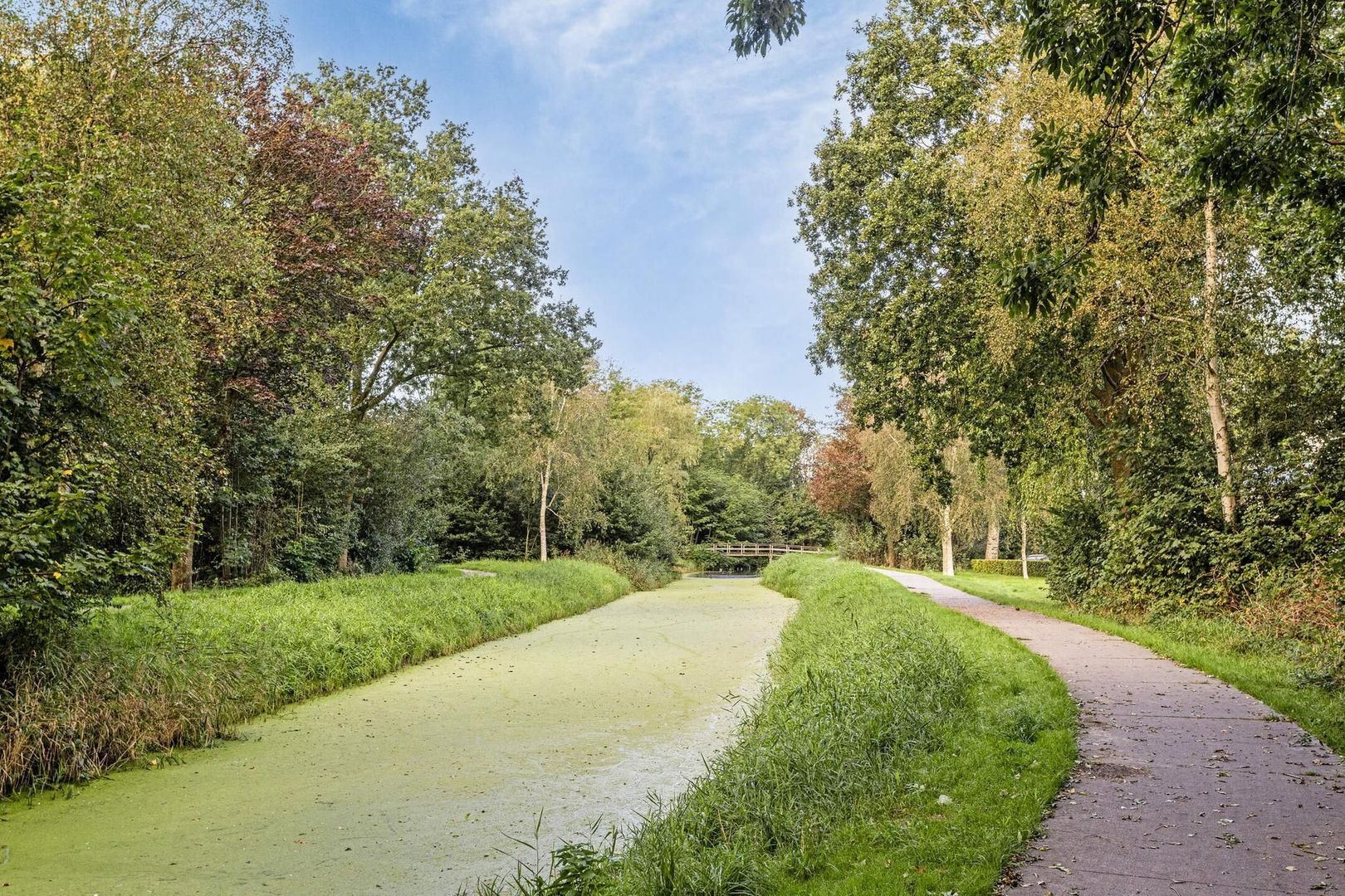 Boterbloemstraat 3, Dokkum foto-27