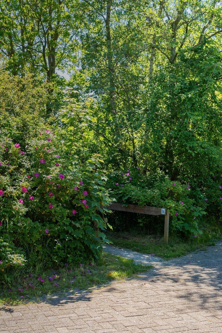 Rijspolder 54, Schiermonnikoog foto-4