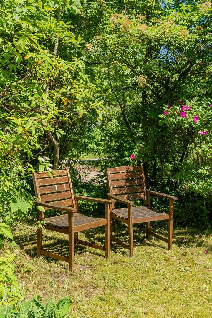 Rijspolder 54, Schiermonnikoog foto-28