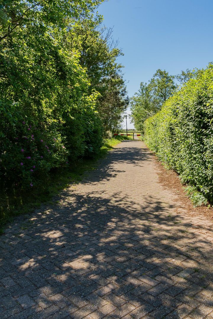 Rijspolder 54, Schiermonnikoog foto-30