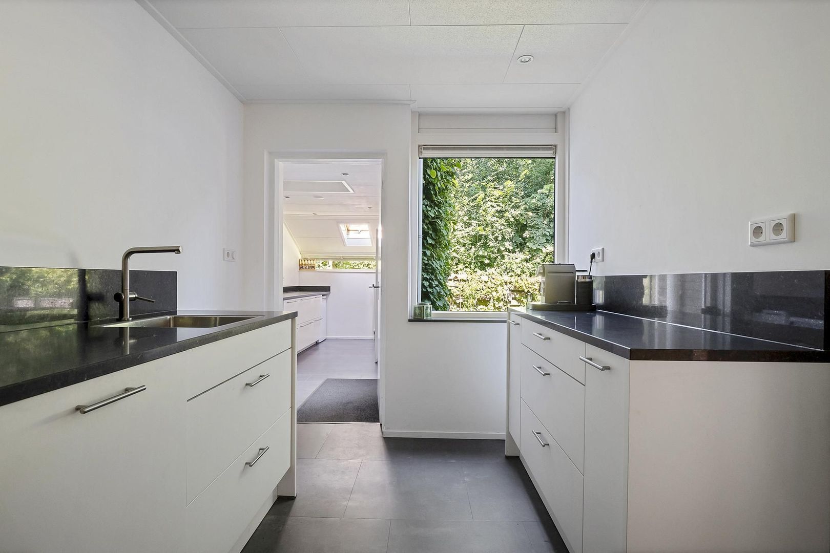 Rietgans 7, Dokkum foto-1