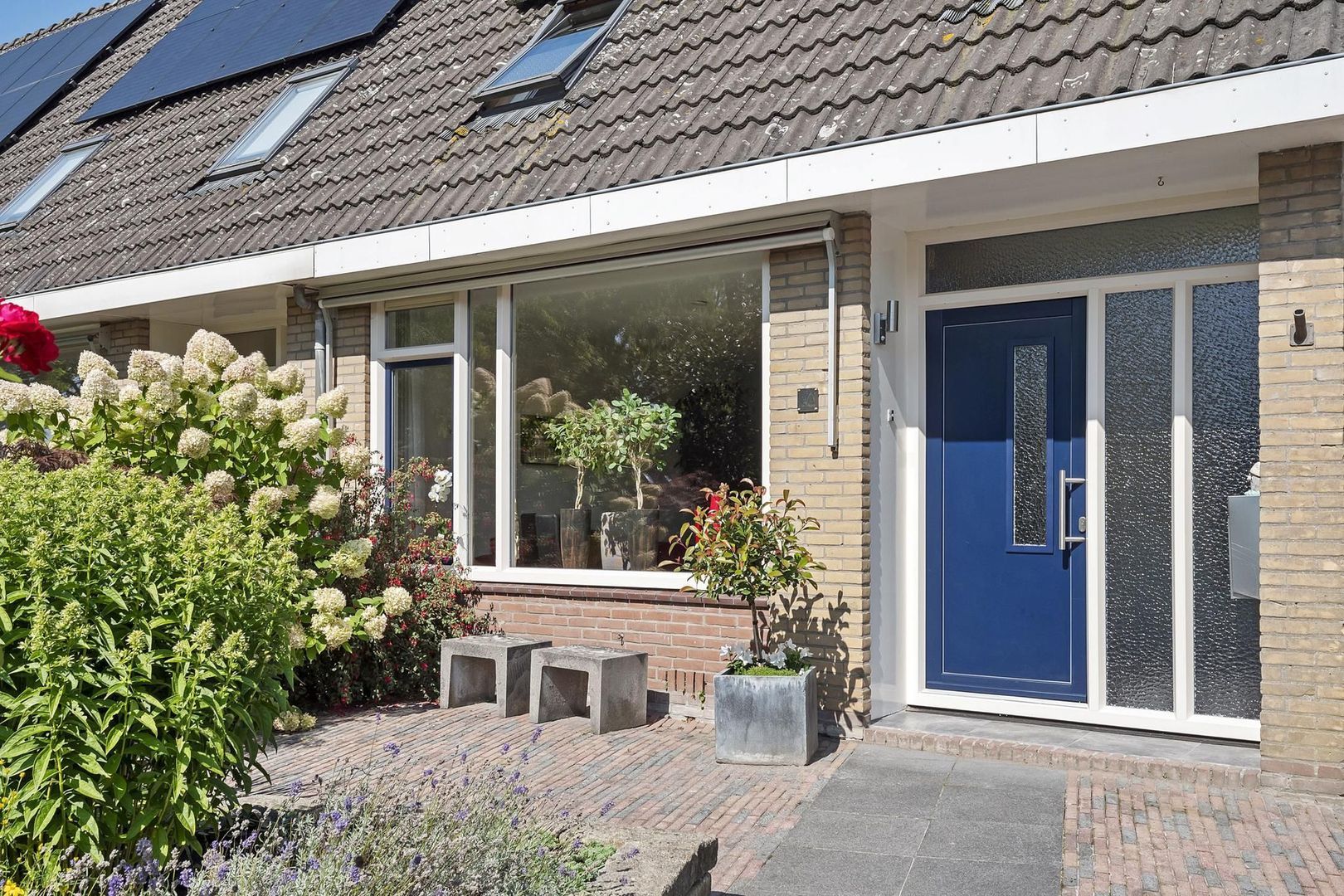 Rietgans 7, Dokkum foto-4