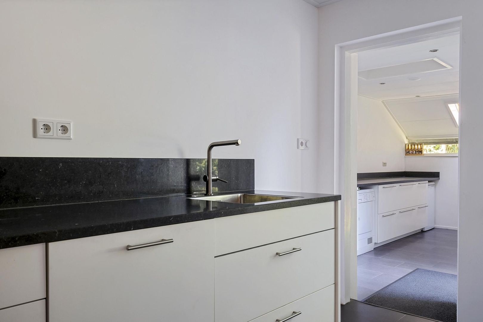 Rietgans 7, Dokkum foto-15