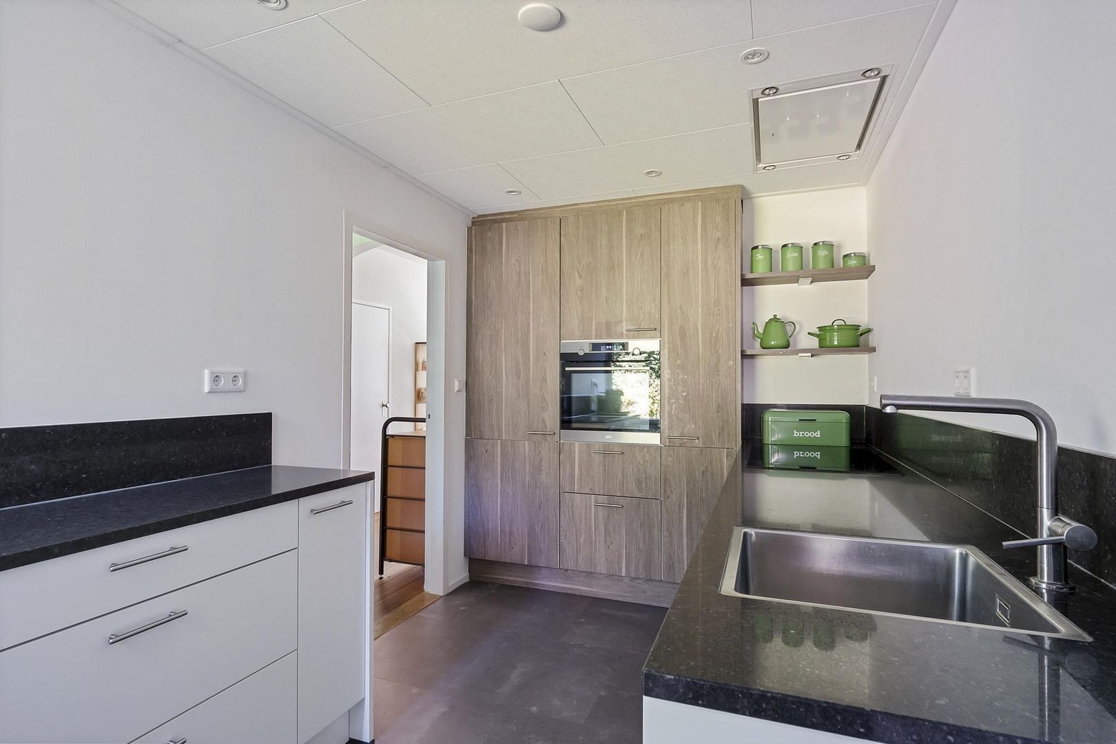 Rietgans 7, Dokkum foto-14