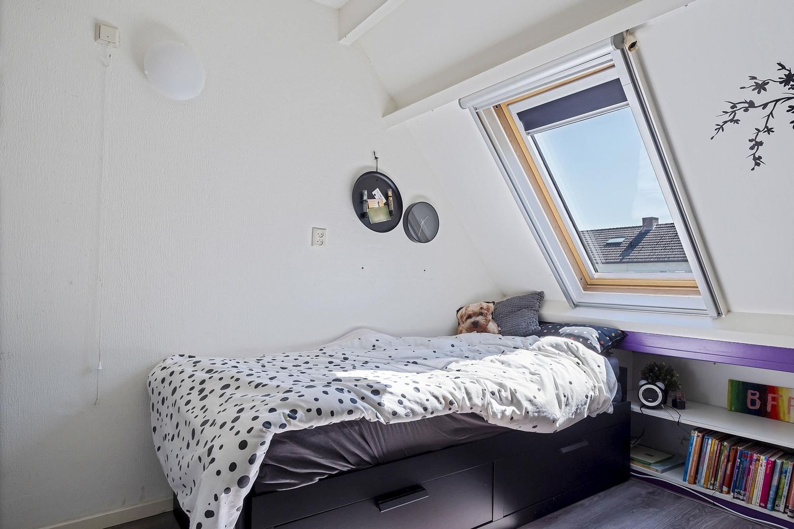 Rietgans 7, Dokkum foto-18