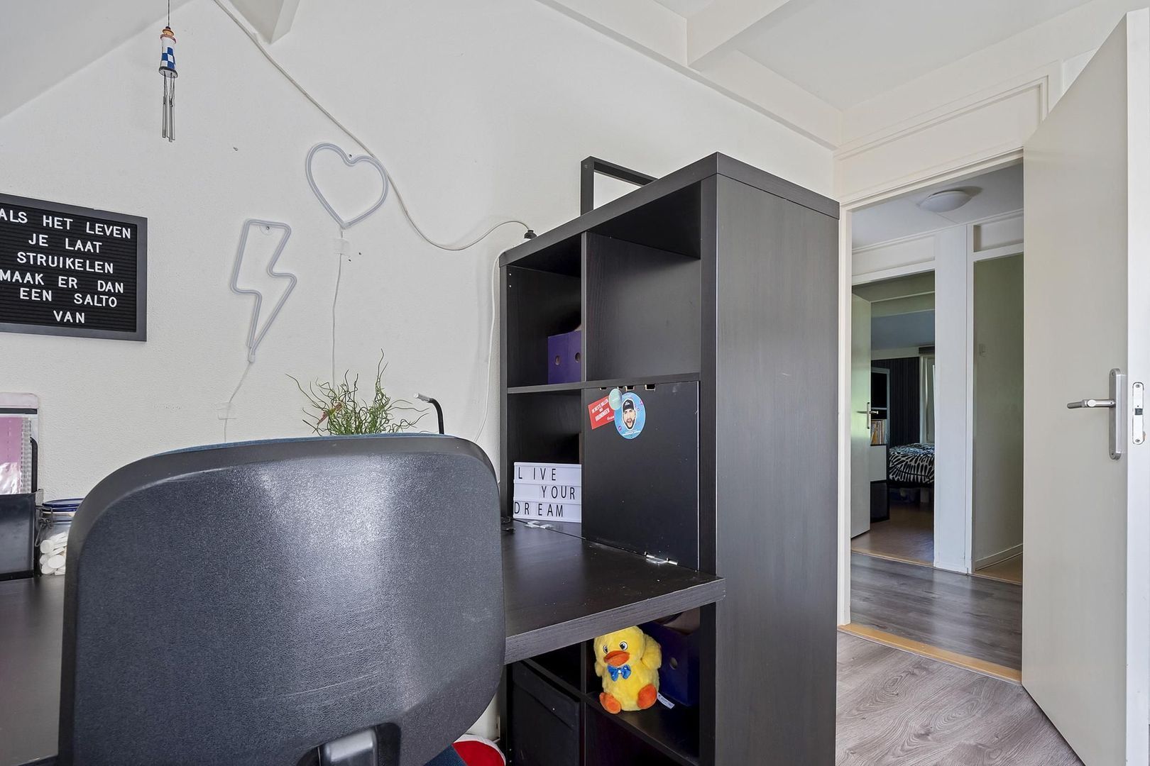 Rietgans 7, Dokkum foto-19