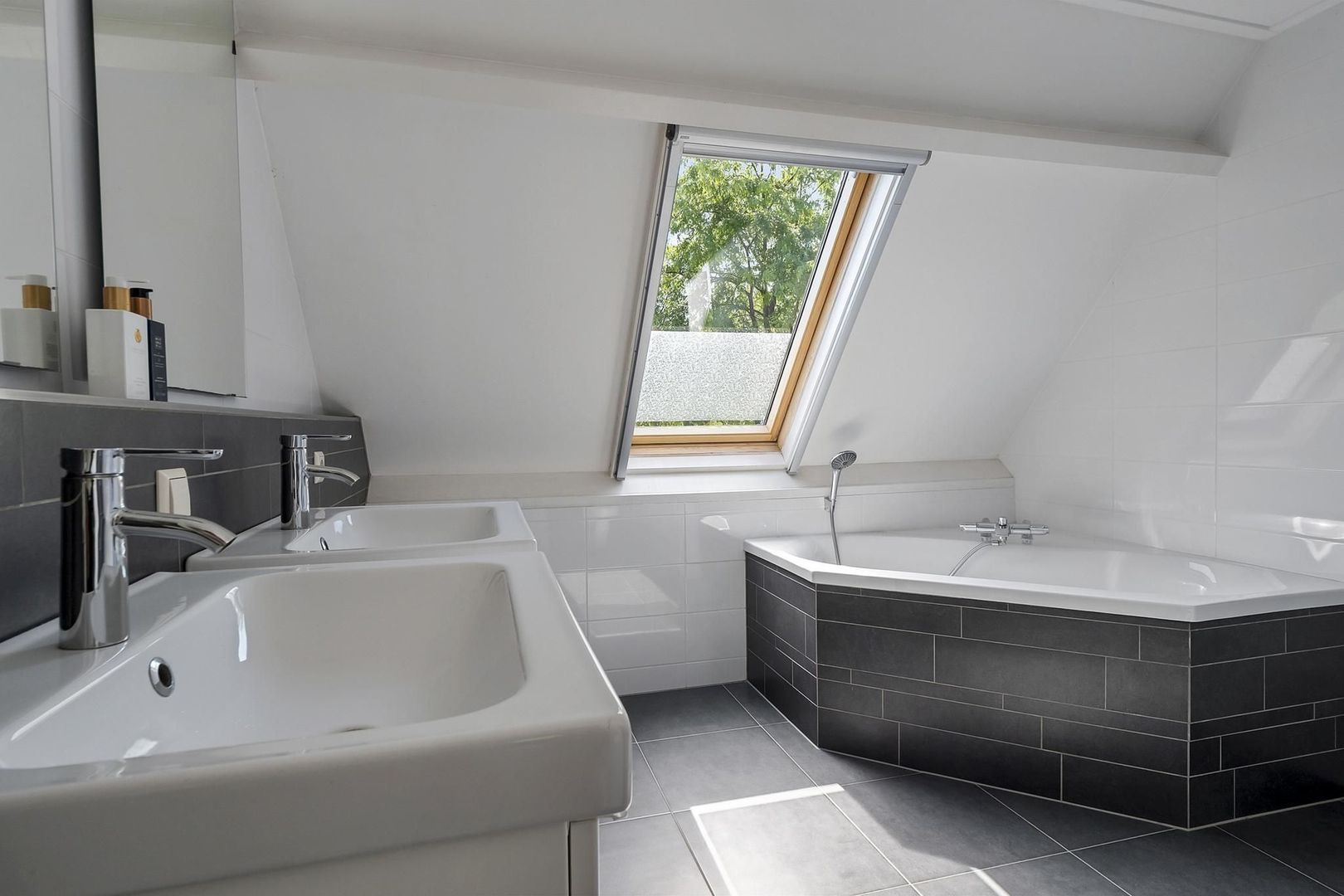 Rietgans 7, Dokkum foto-20