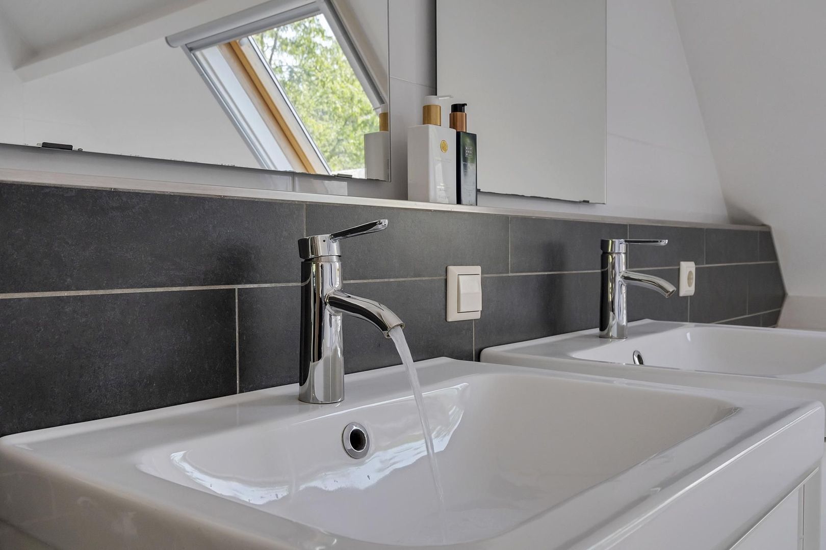 Rietgans 7, Dokkum foto-21