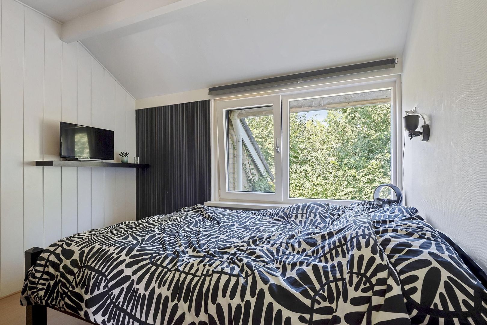 Rietgans 7, Dokkum foto-23