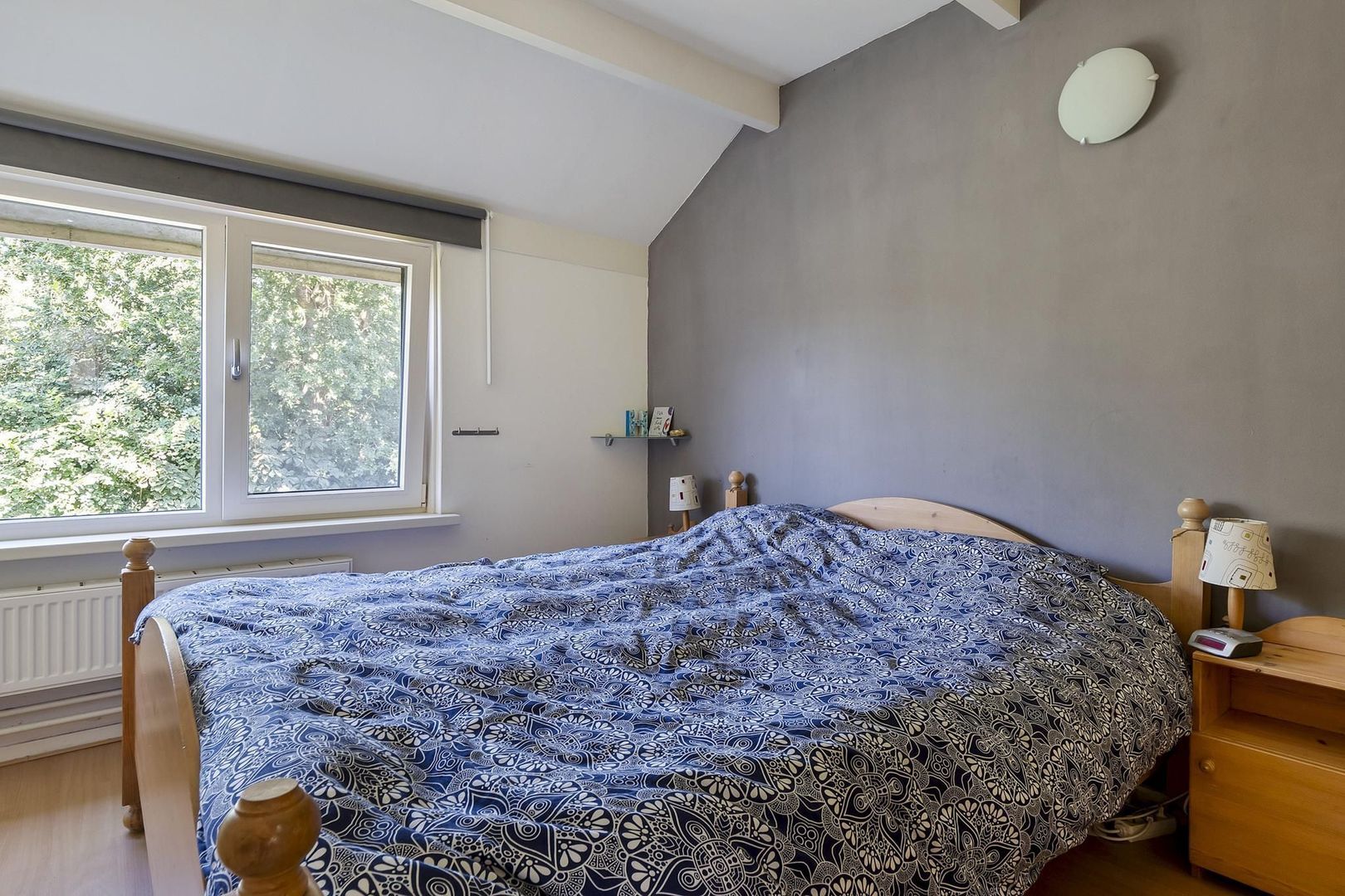 Rietgans 7, Dokkum foto-25