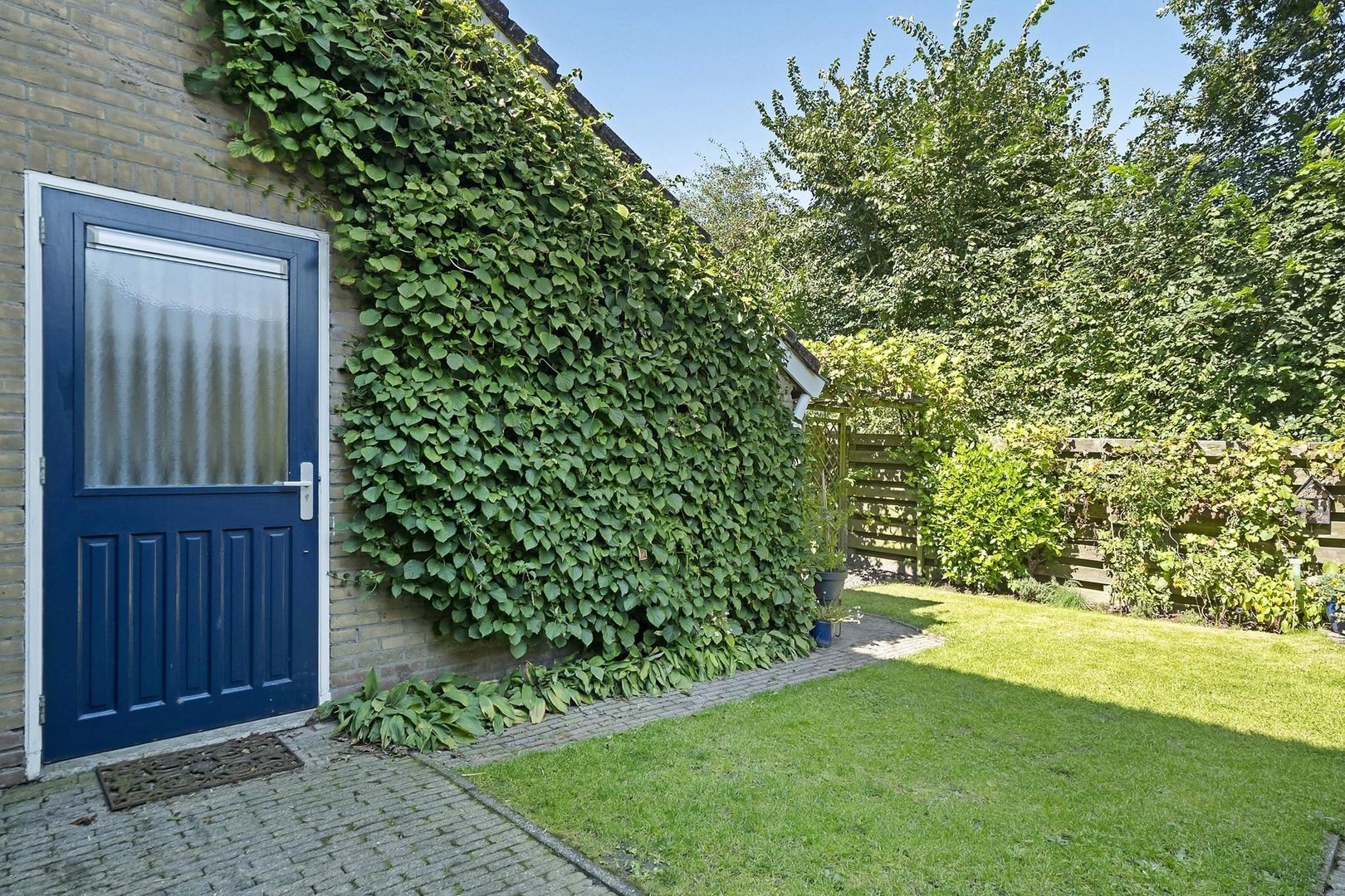 Rietgans 7, Dokkum foto-30