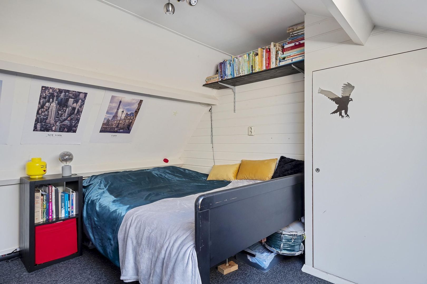 Rietgans 7, Dokkum foto-28