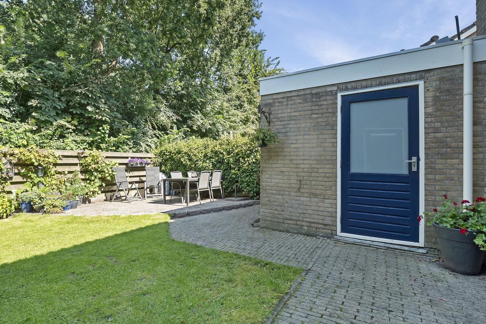 Rietgans 7, Dokkum foto-32