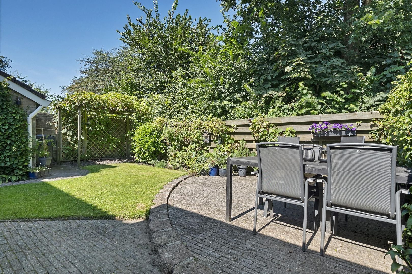 Rietgans 7, Dokkum foto-33