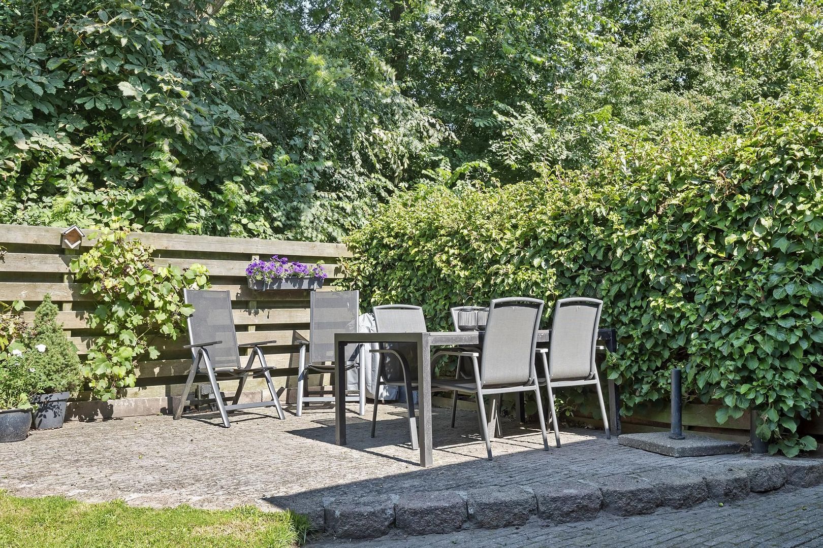 Rietgans 7, Dokkum foto-34