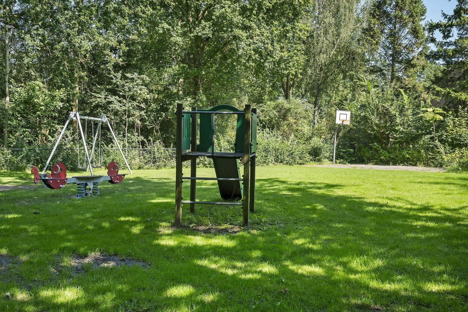 Rietgans 7, Dokkum foto-37