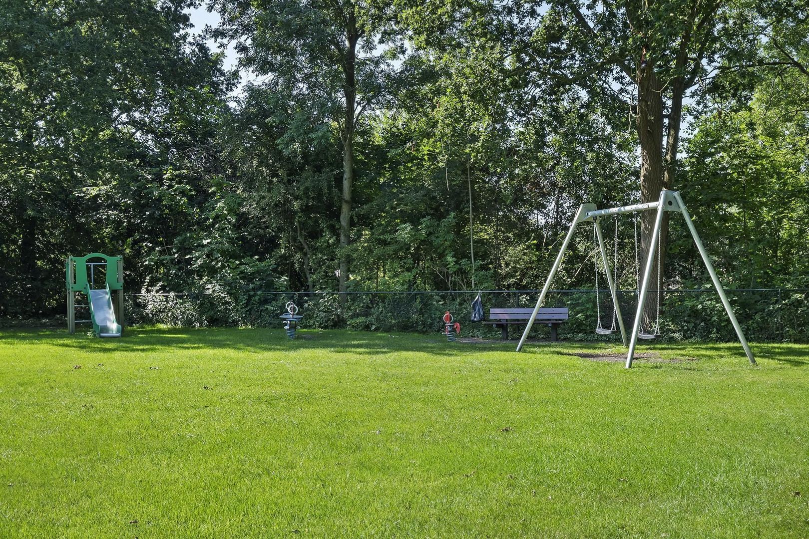 Rietgans 7, Dokkum foto-38