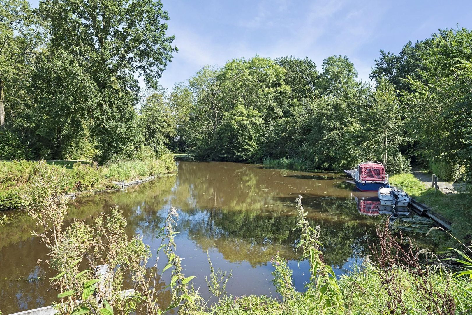 Rietgans 7, Dokkum foto-39