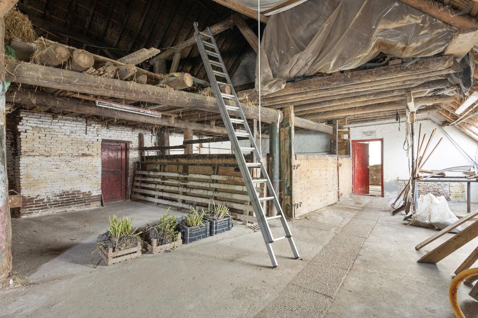 Achterwei 10, Peazens foto-2