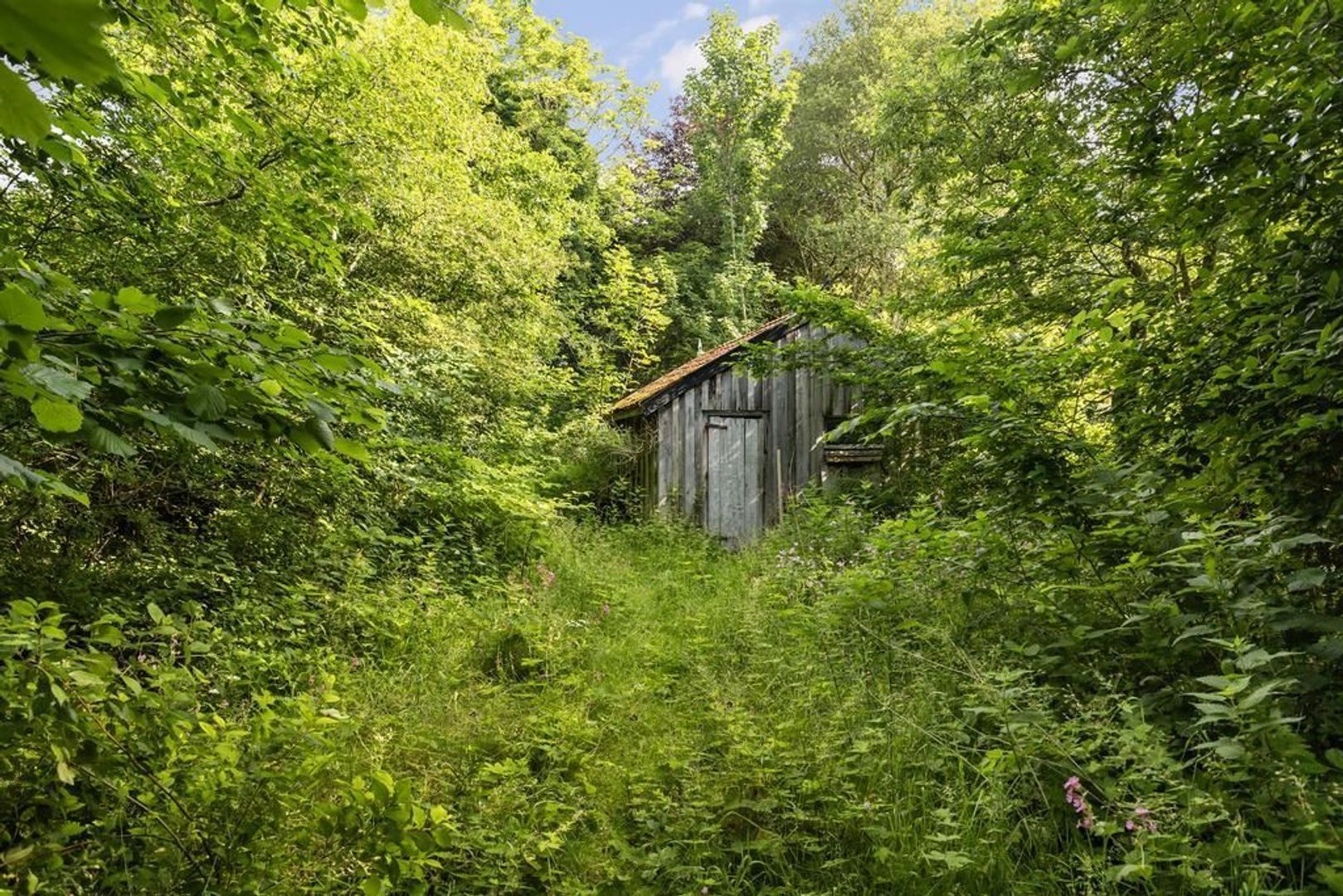 Middenstreek 50, Schiermonnikoog foto-14