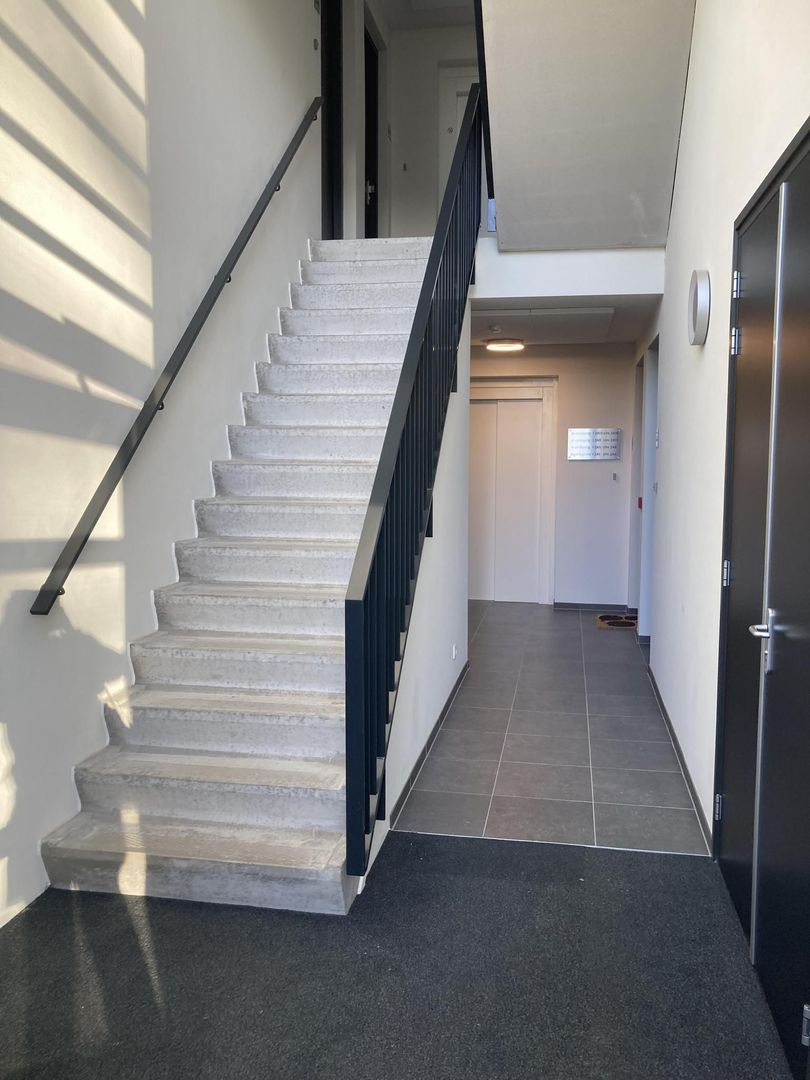 Reidroas 2 A 14, Hurdegaryp foto-14