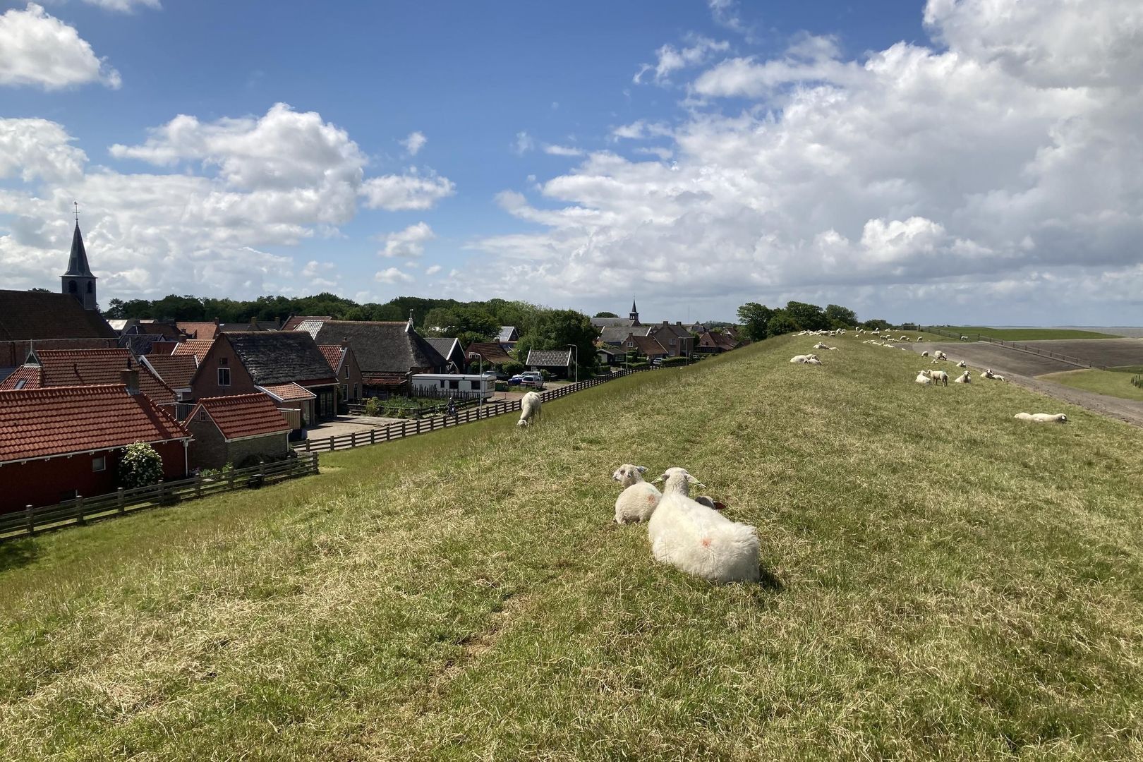 De Buorren 30, Peazens foto-2